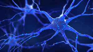 Blue neuron connected to other neurons with a spiderweb look